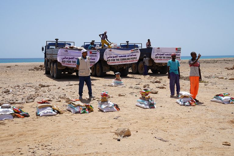 الشيخ خليفة بن زايد آل نهيان، رئيس دولة الإمارات