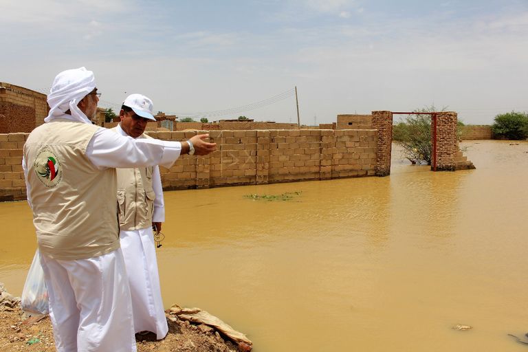 الشيخ خليفة بن زايد آل نهيان، رئيس دولة الإمارات