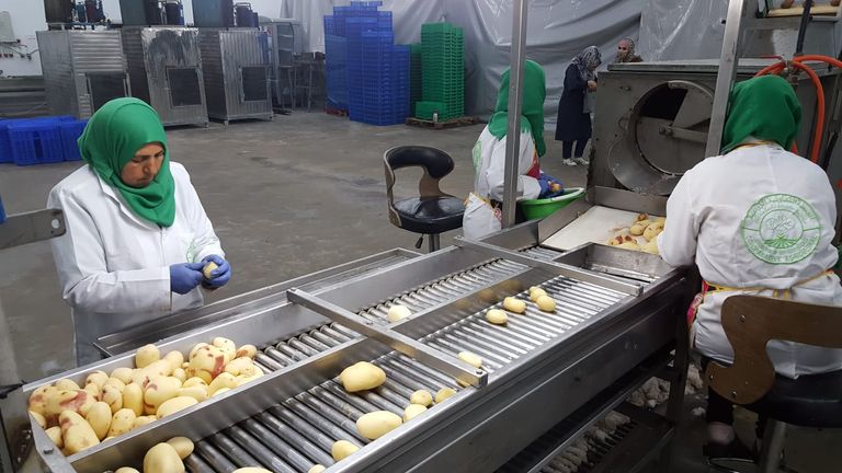 جامعيات في غزة يكافحن البطالة بالبطاطس