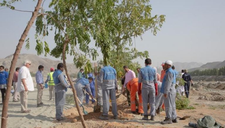 زراعة 70 شجرة بالفجيرة الإماراتية في أولى فعاليات عام التسامح