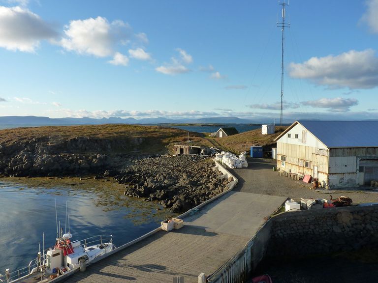 جزيرة فلايتي الأيسلندية