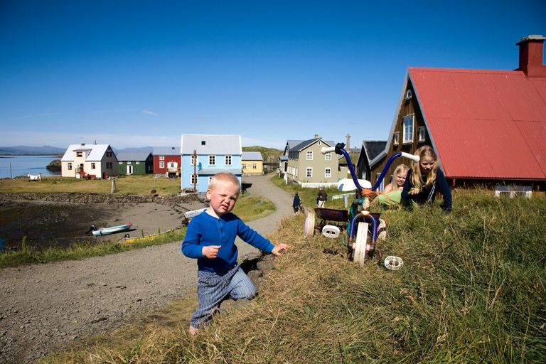 جزيرة فلايتي الأيسلندية