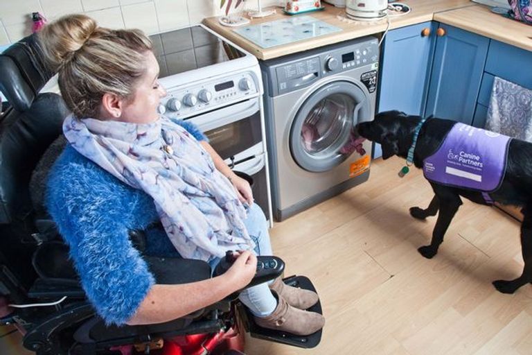 "موريس" يساعد كلوي في كل شيء