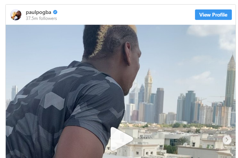 صورة بوجبا بول بوجبا