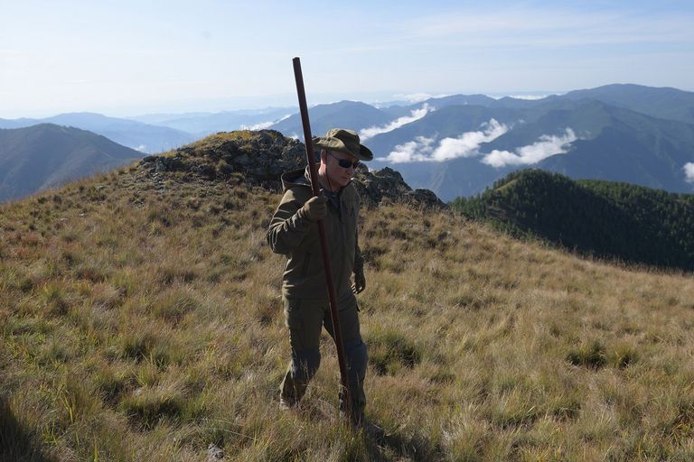 بوتين يتنزه في غابات سيبيريا