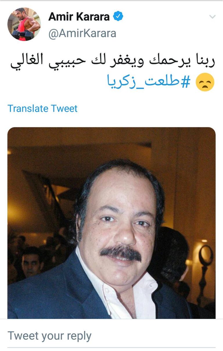 الفنان الراحل طلعت زكريا