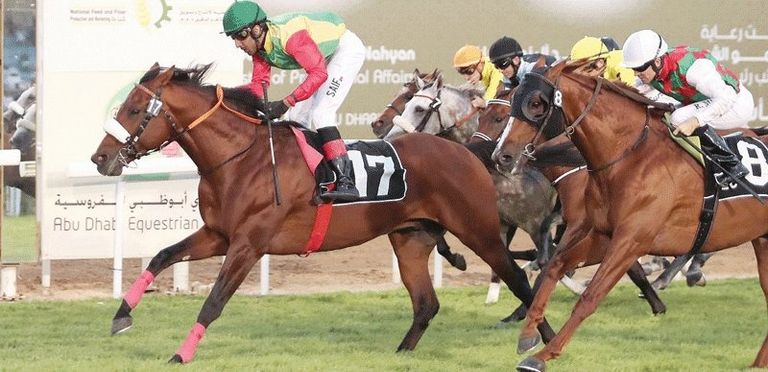 سباقات الخيول العربية