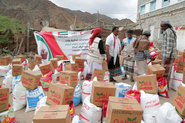 مساعدات إماراتية لليمن 