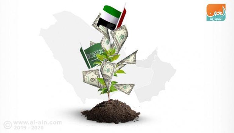 التنسيق السعودي الإماراتي