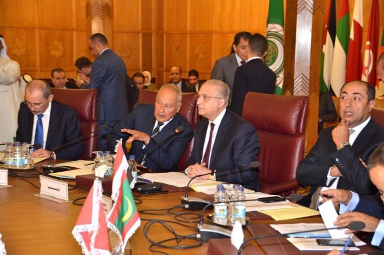 وزير الخارجية المصري سامح شكري