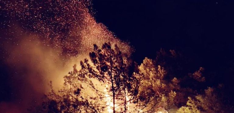 النيران تلتهم مساحات شاسعة من لبنان