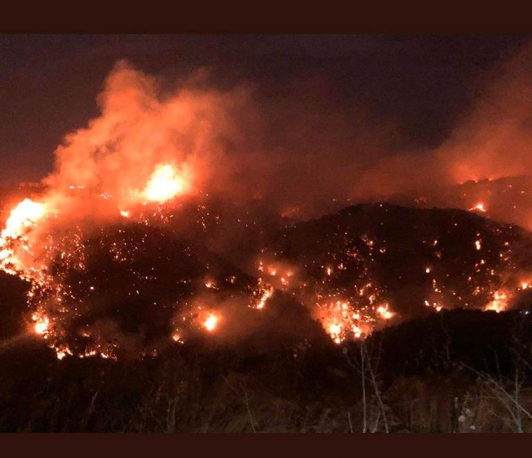 النيران تلتهم مساحات شاسعة من لبنان