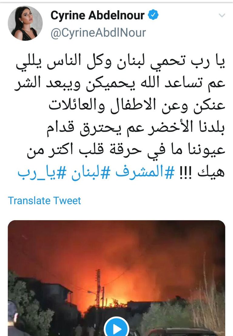 حرائق لبنان تأتي على الأخضر واليابس