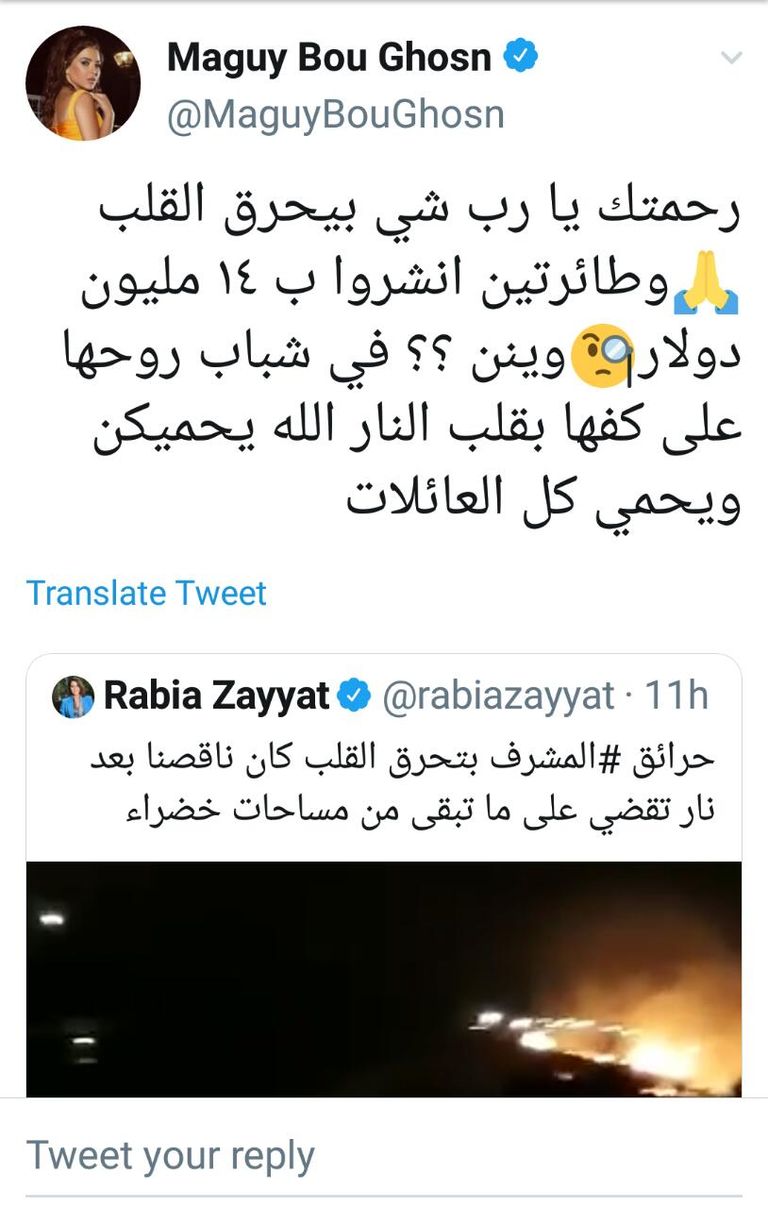 حرائق لبنان تأتي على الأخضر واليابس