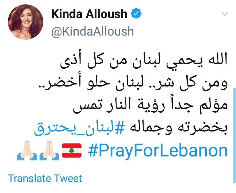 حرائق لبنان تأتي على الأخضر واليابس