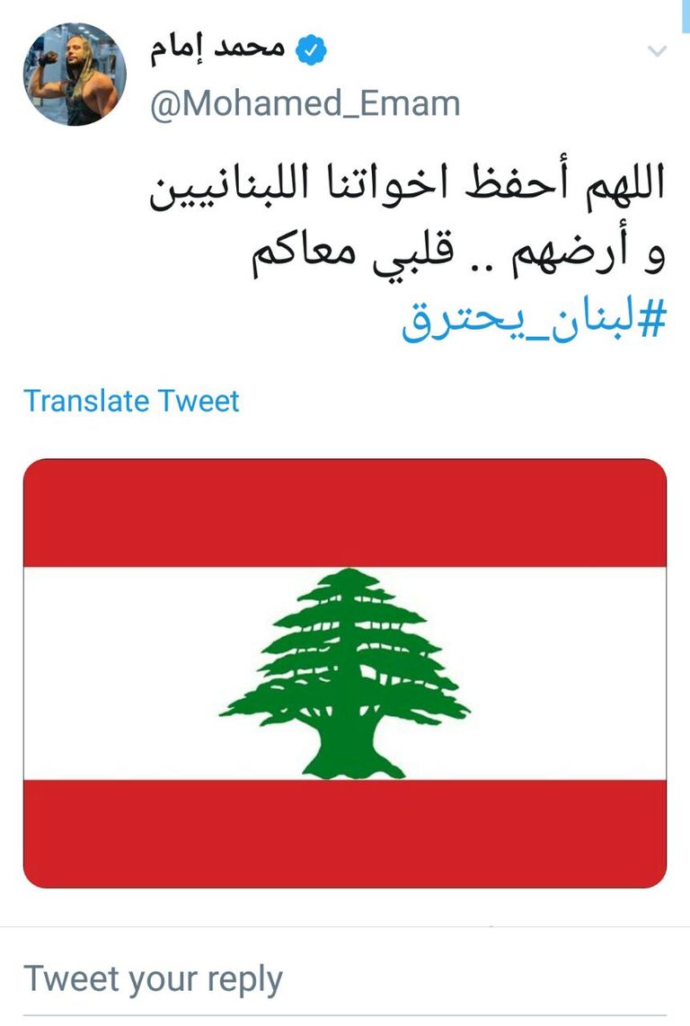 حرائق لبنان تأتي على الأخضر واليابس