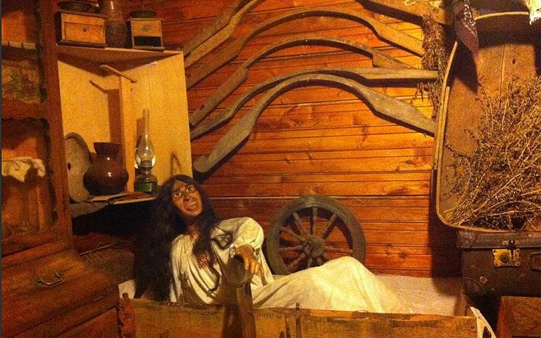 متحف الفئران من أغرب متاحف روسيا