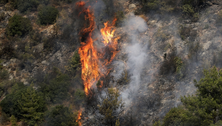 النيران أكلت مساحات شاسعة من الأراضي في لبنان وسوريا