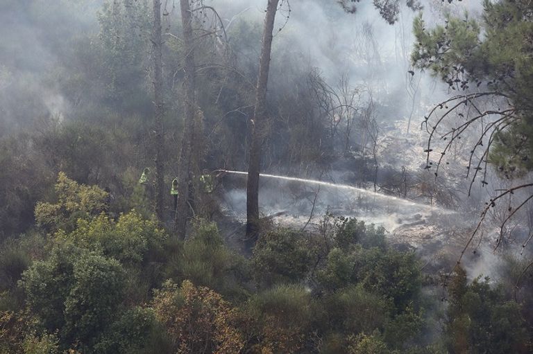 طائرة تشارك في جهود إخماد الحرائق في لبنان