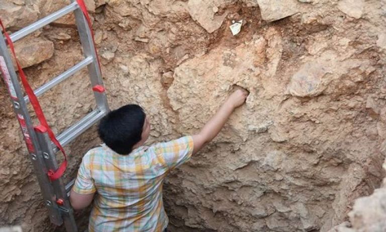 أحد أعضاء الفريق البحثي أثناء العمل في موقع بجزيرة ناكسوس
