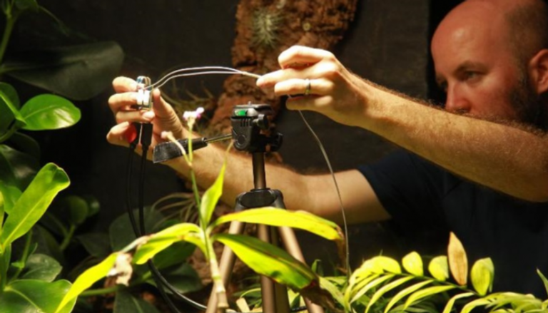 النبتة "بيتي" مجهزة بكاميرا ذات طاقة منخفضة