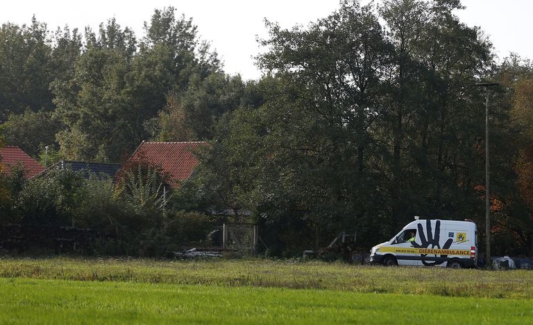 الحقيقة لا تزال غائبة عن المحققين