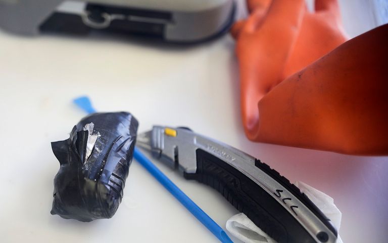 إدارة الجمارك تستعين بالكلاب المدربة