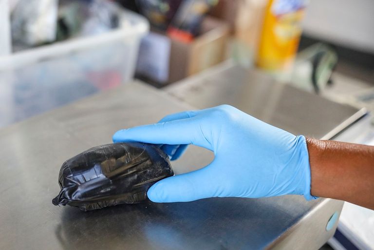 إدارة الجمارك تستعين بالكلاب المدربة