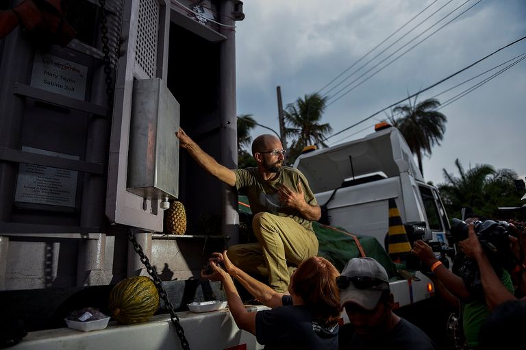 الفيلة رامبا داخل محمية في البرازيل