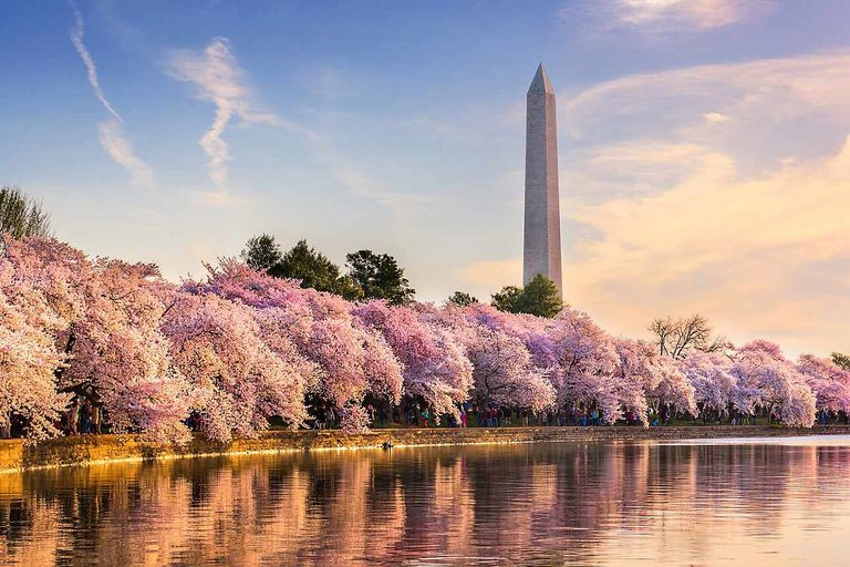 دبي ضمن أفضل 10 مدن حول العالم للزيارة في 2020