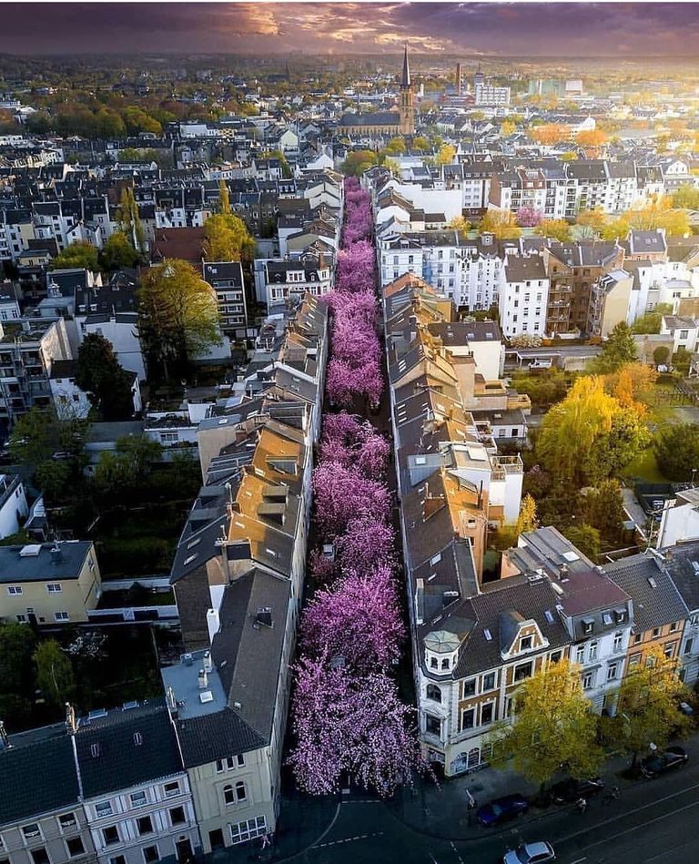 دبي ضمن أفضل 10 مدن حول العالم للزيارة في 2020