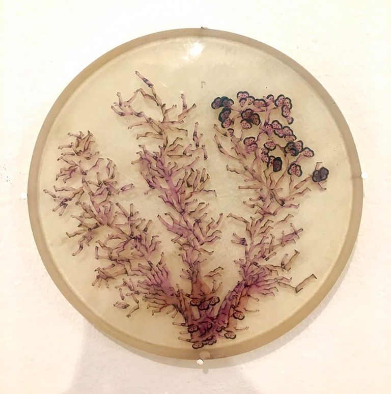 من أعمال معرض "أشيائي المفضلة"