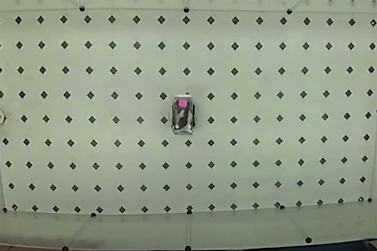 علماء ينجحون في تدريب الفئران على قيادة السيارات