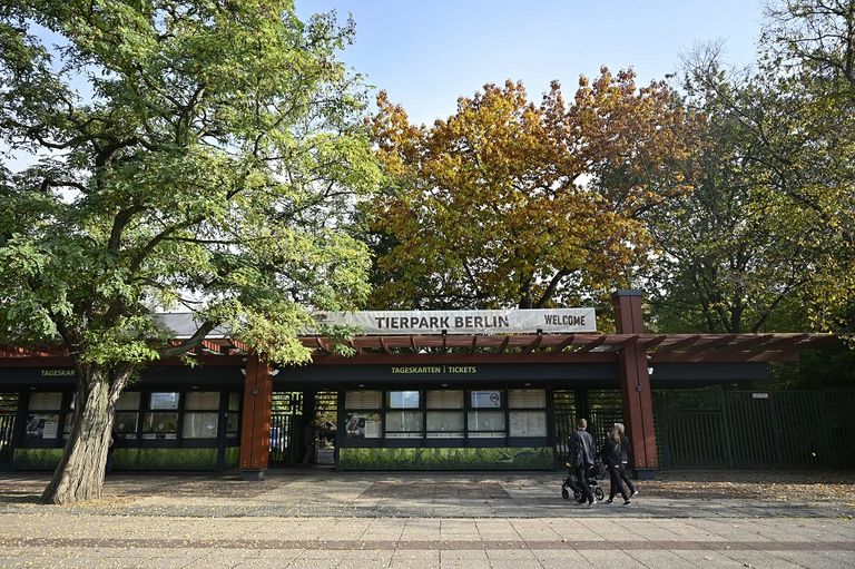 ما تبقّى من جدار برلين وعليه غطاء نباتي