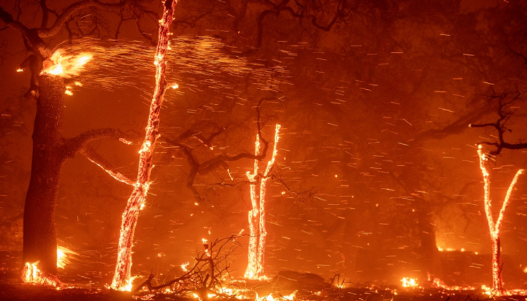 النيران التهمت منطقة زراعة الكروم في سونوما
