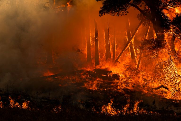 النيران التهمت منطقة زراعة الكروم في سونوما