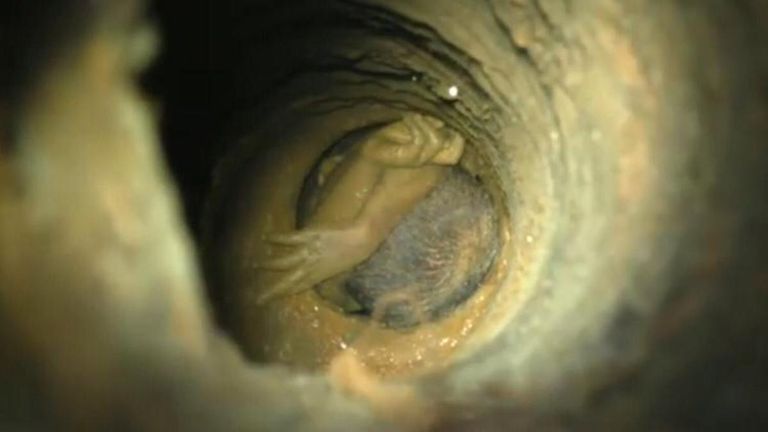 الطفل سوجيث ووالدته