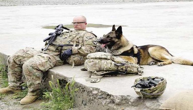 جندي أمريكي بجواره كلب أثناء إحدى العمليات العسكرية - أرشيفية