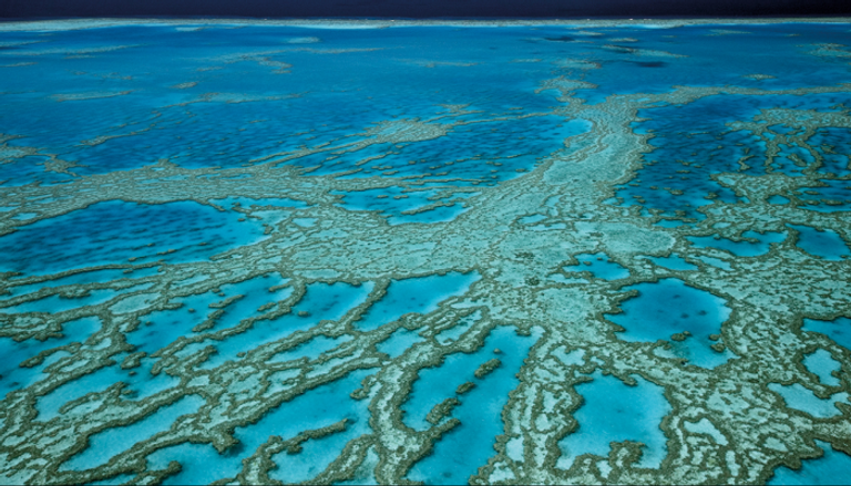 الحيد المرجاني العظيم في أستراليا - أرشيفية