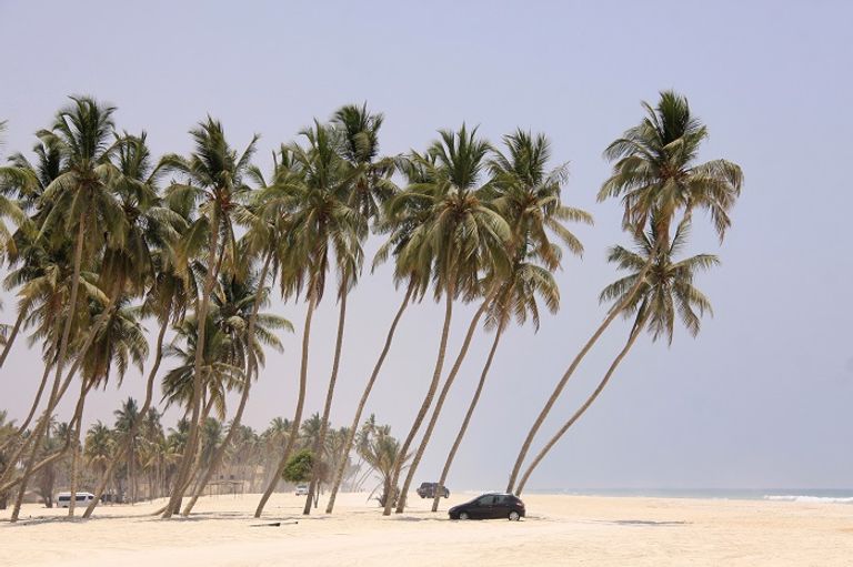 صلالة العمانية.. مدينة البخور