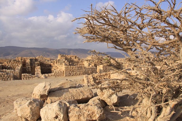 صلالة العمانية.. مدينة البخور