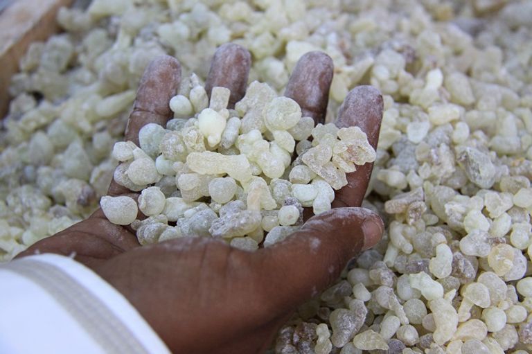 صلالة العمانية.. مدينة البخور