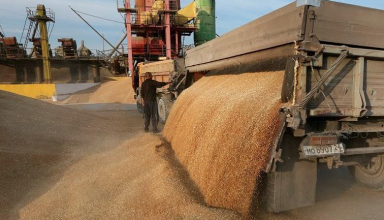 القمح الروسي يفقد جاذبيته في السوق المصري