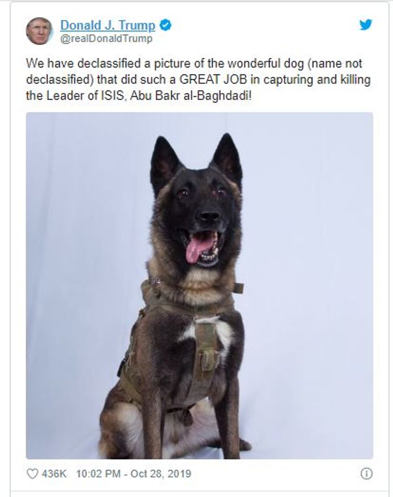الكلب الذي شارك في عملية البغدادي