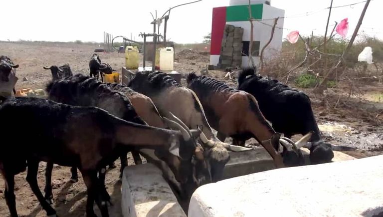 الإمارات تسعى لتأمين مياه شرب نظيفة لآلاف اليمنيين