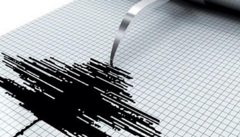 هزة أرضية بقوة 4.6 درجة في الخليج العربي