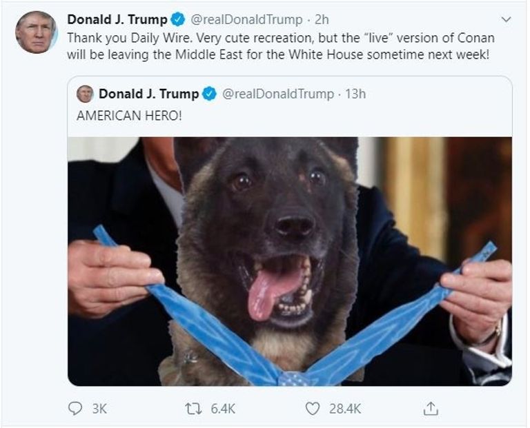 صورة الكلب المشارك في عملية استهداف البغدادي