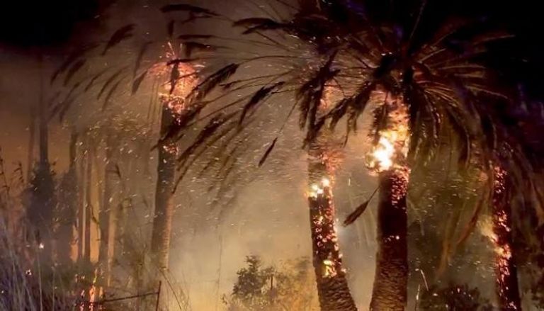 الحرائق تواصل التهام غابات كاليفورنيا