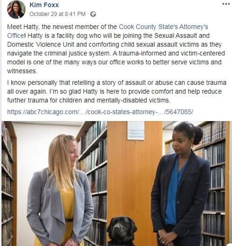 "هاتي".. أول كلبة محامية في أمريكا