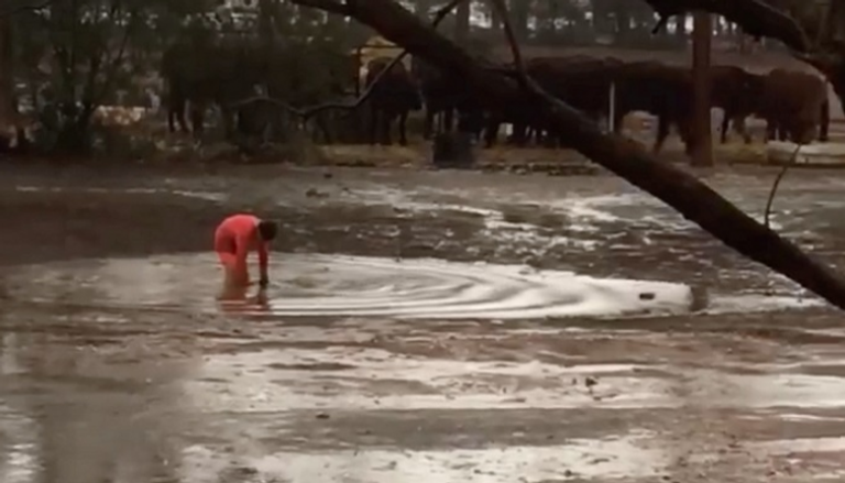 أمطار في أستراليا تكسر موجة الجفاف